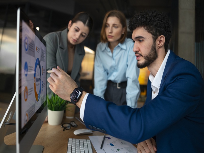 Software Consulting